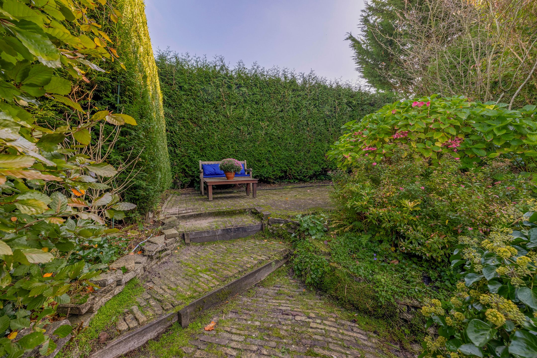 Foto 42 van Iepenlaan 94