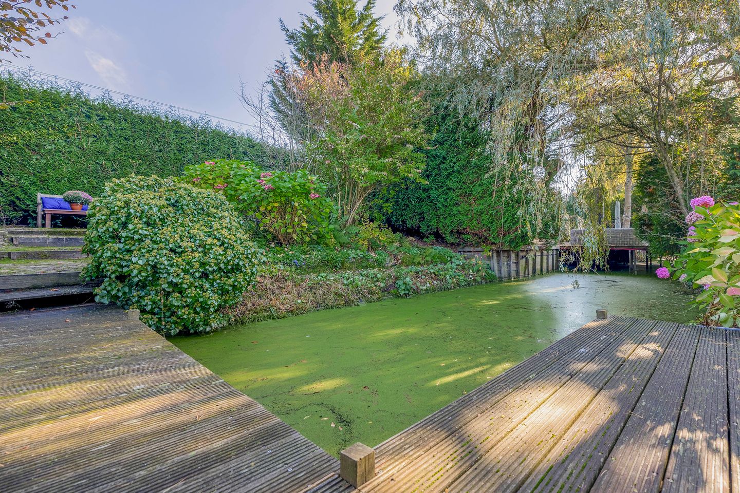 Foto 44 van Iepenlaan 94