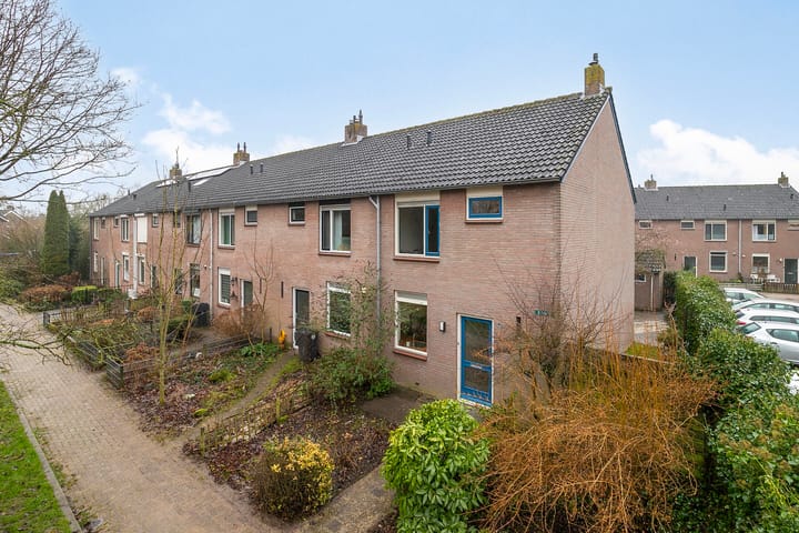 Foto 1 van Leeuwerik 2