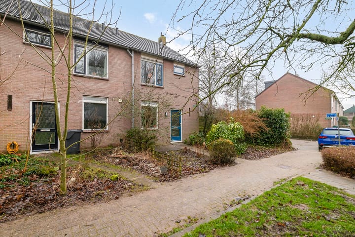 Foto 17 van Leeuwerik 2