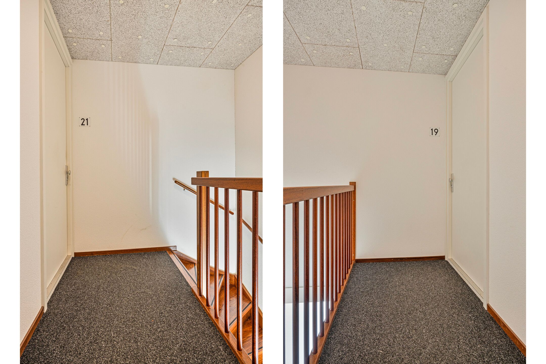 Photo 9 of Het Lage Licht 19