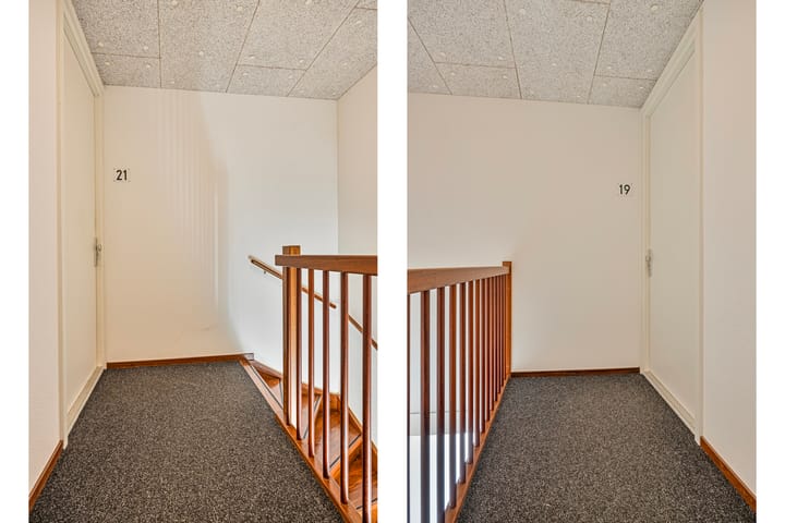 Photo 9 of Het Lage Licht 19