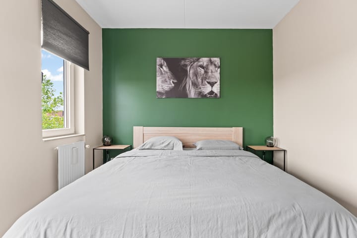 Photo 32 of Het Lage Licht 19