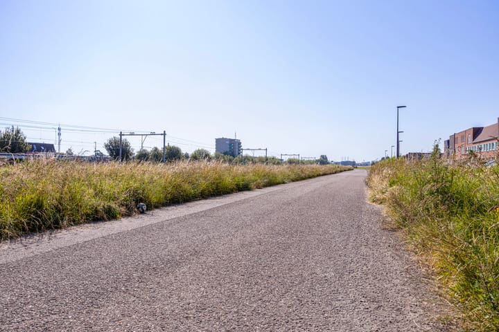 Photo 35 of Het Lage Licht 19