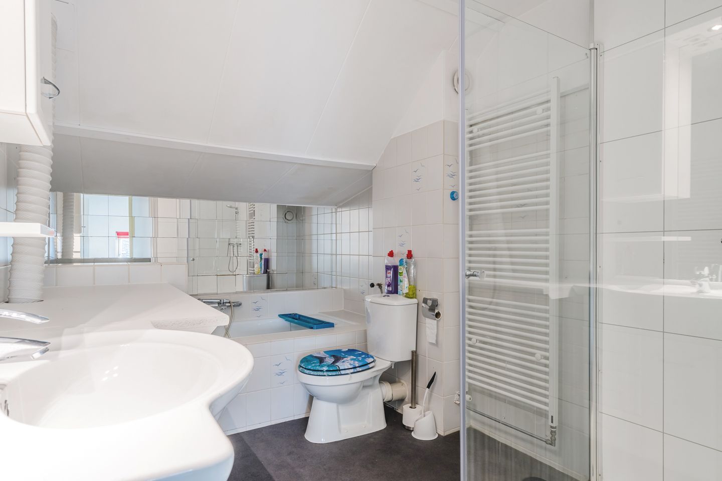 Foto 20 van Meerkoetmeen 47