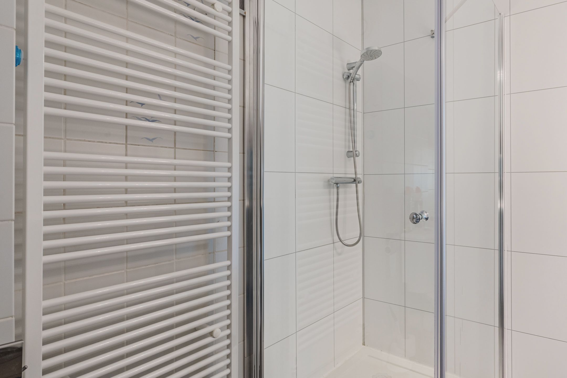 Foto 21 van Meerkoetmeen 47