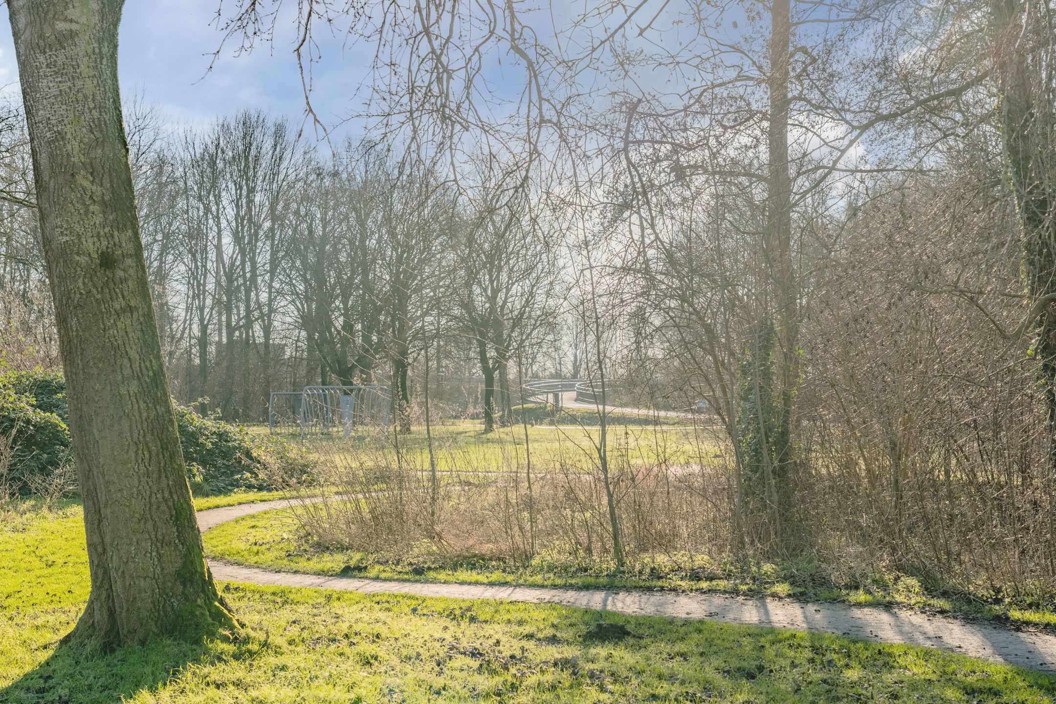 Foto 33 van Meerkoetmeen 47