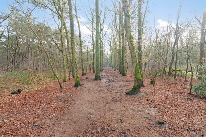 Foto 19 van Brabanthoeven 193