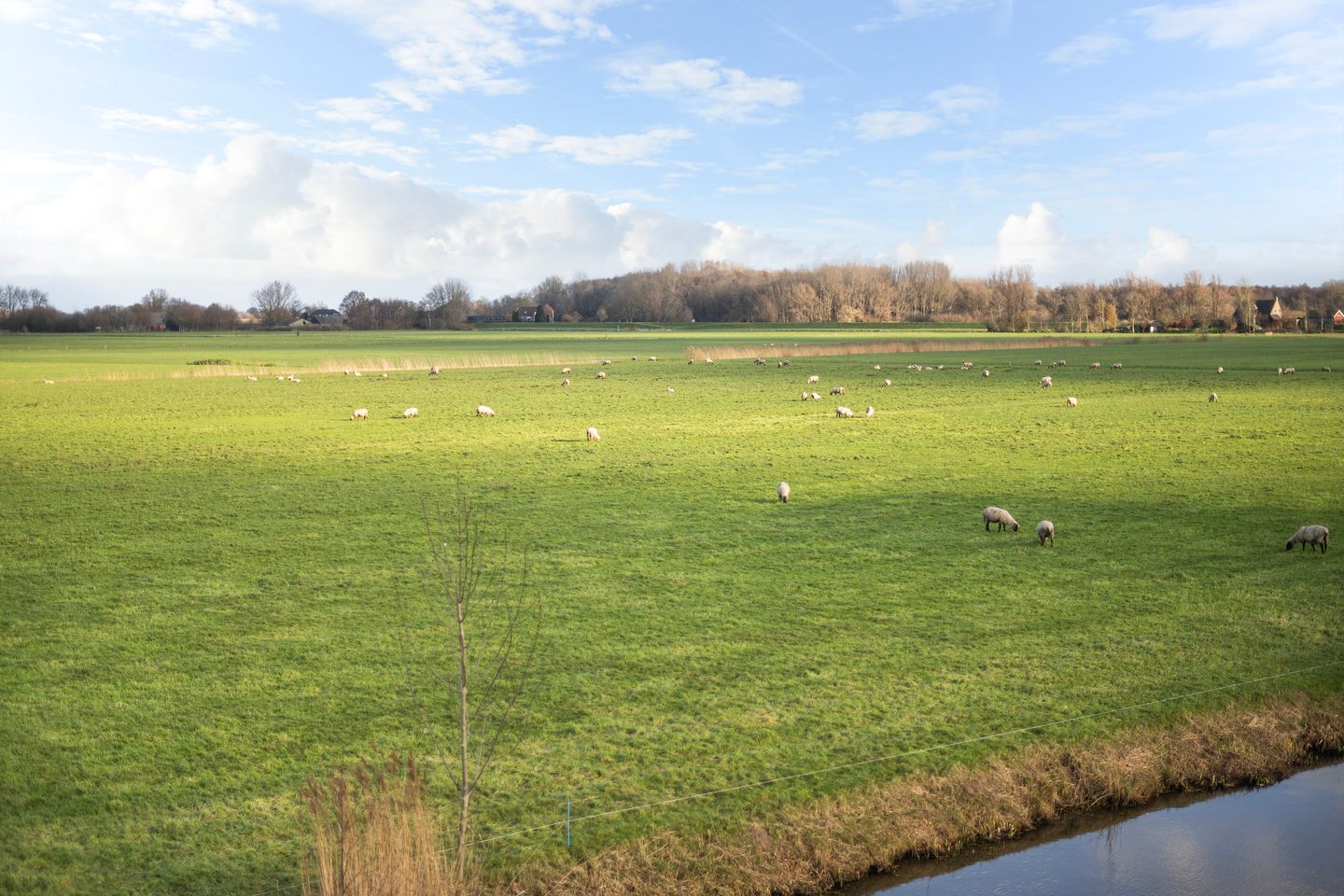 Foto 35 van Goudplevierstraat 130