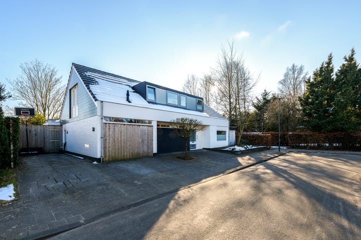 Foto 6 van De Rival 19