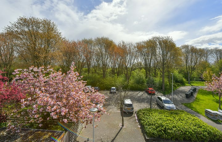 Foto 44 van Bosuilstraat 5