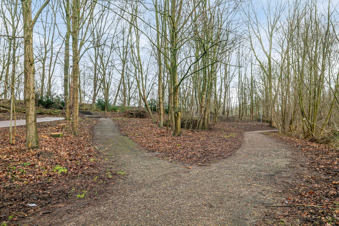 Foto 41 van Geullestraat 57