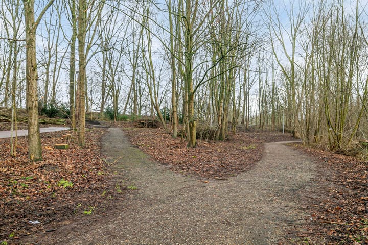 Foto 41 van Geullestraat 57