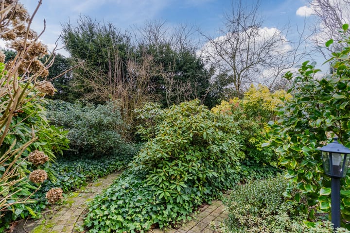 Foto 49 van Leeuwerik 11