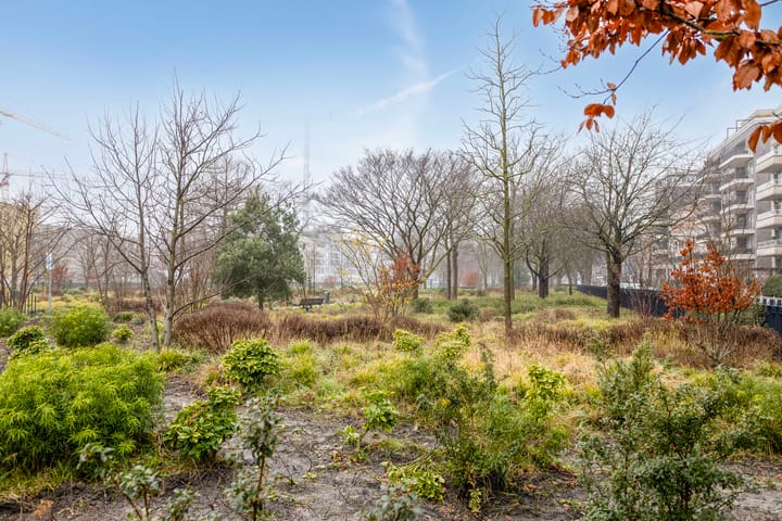 Foto 25 van Bella Vistastraat 152