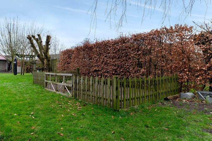 Foto 49 van Herelsestraat 162