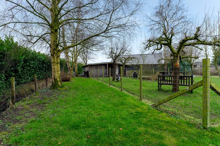 Foto 50 van Herelsestraat 162