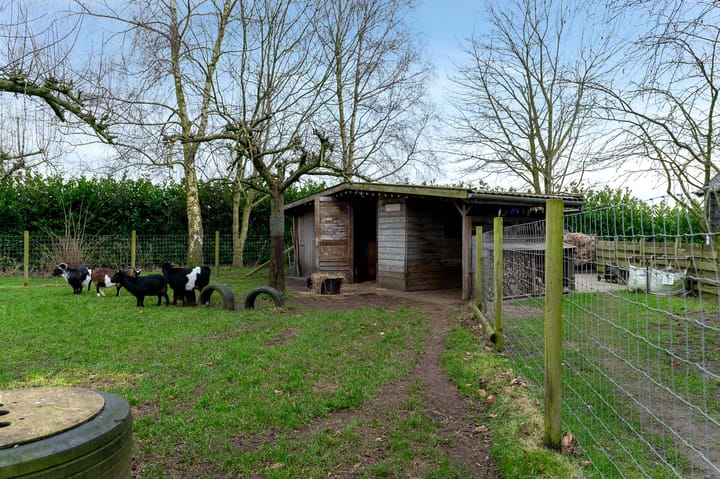 Foto 51 van Herelsestraat 162