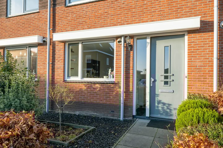 Foto 10 van Krokus 5