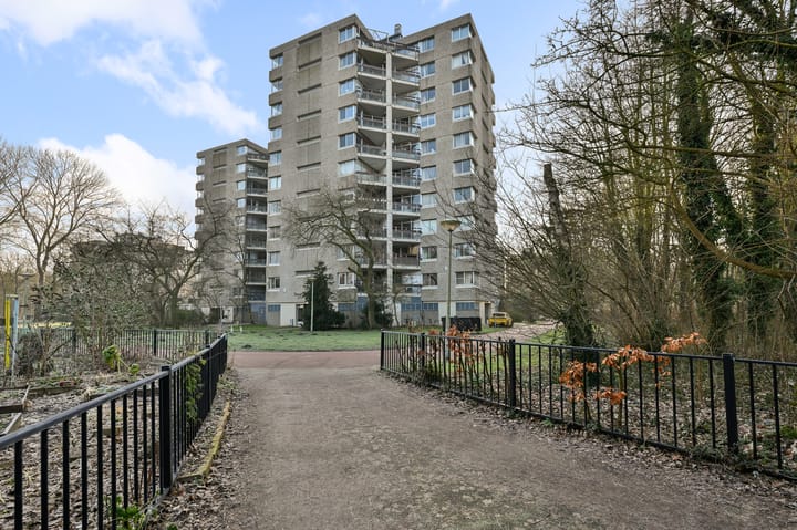 Foto 1 van Gouden Leeuw 825