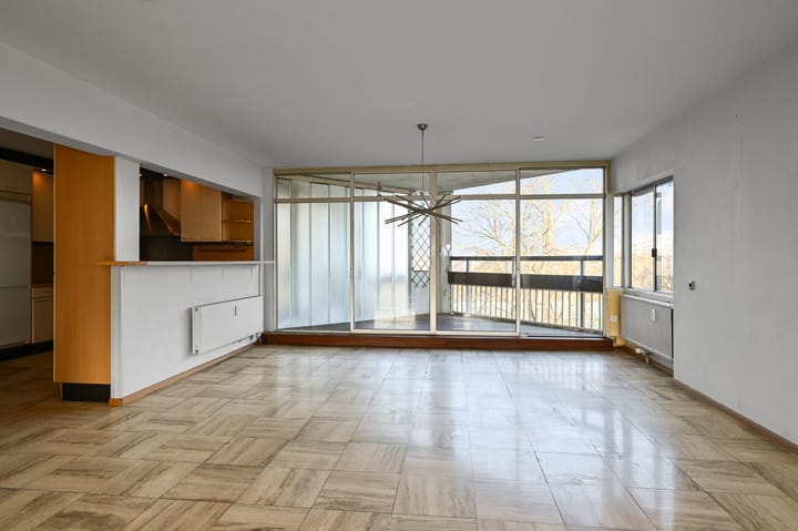 Foto 5 van Gouden Leeuw 825