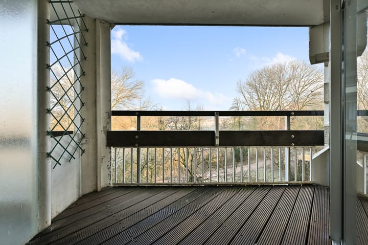 Foto 7 van Gouden Leeuw 825