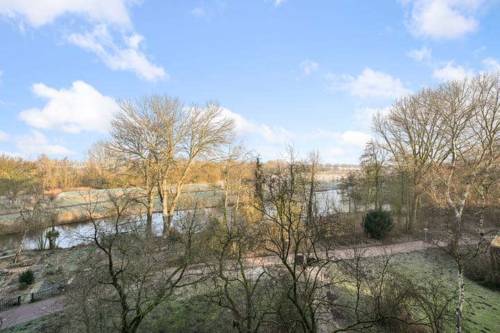 Foto 8 van Gouden Leeuw 825