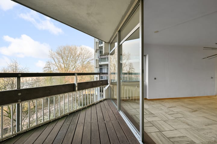 Foto 20 van Gouden Leeuw 825