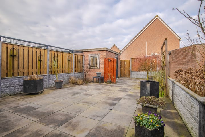 Foto 2 van Lionderstuk 25