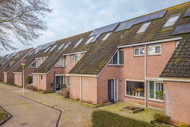 Foto 9 van Lionderstuk 25