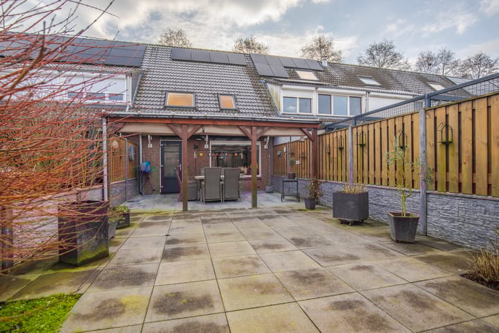 Foto 24 van Lionderstuk 25