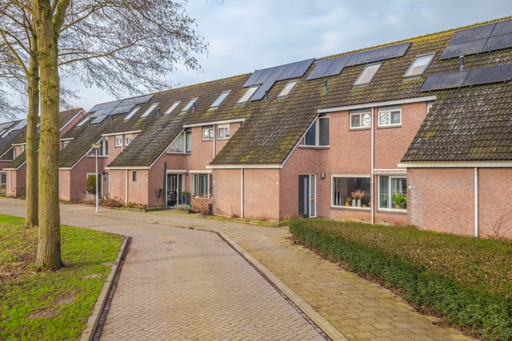 Foto 36 van Lionderstuk 25