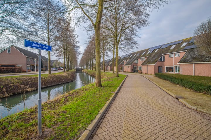 Foto 37 van Lionderstuk 25