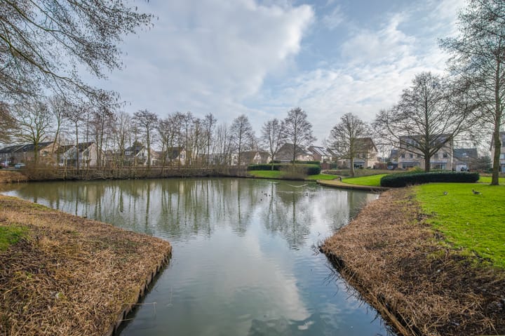 Foto 39 van Lionderstuk 25