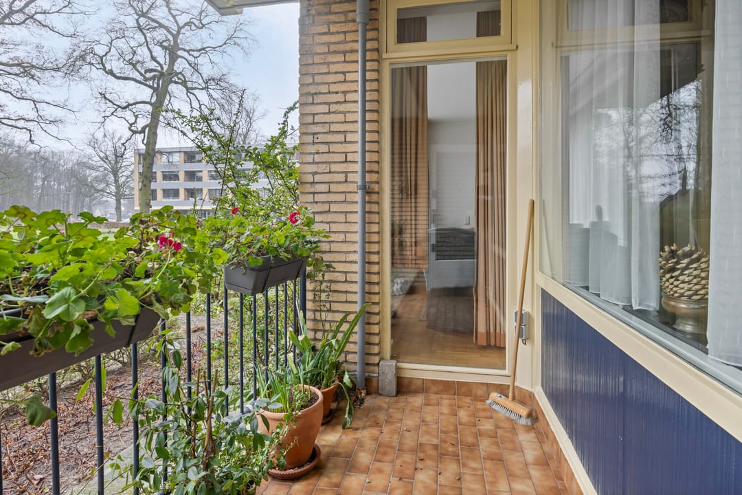 Foto 16 van Rozenhof 6