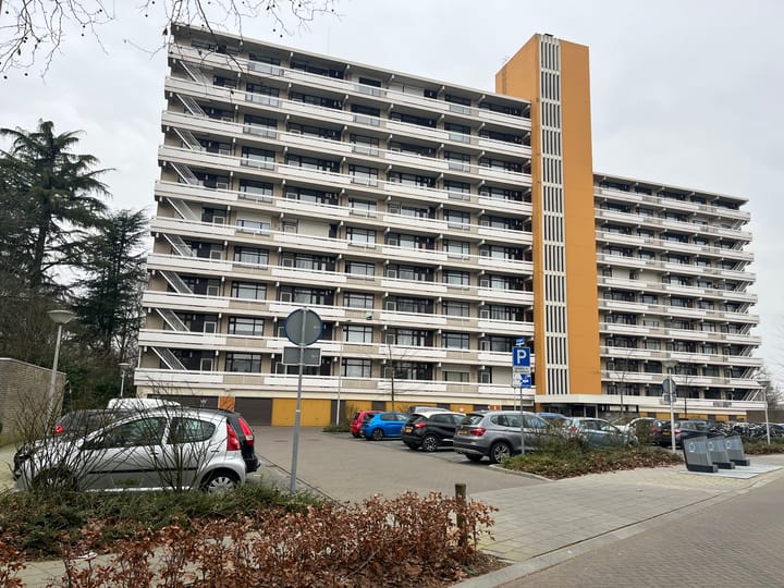 Foto 1 van de Koppele 211