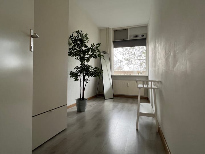 Foto 13 van de Koppele 211