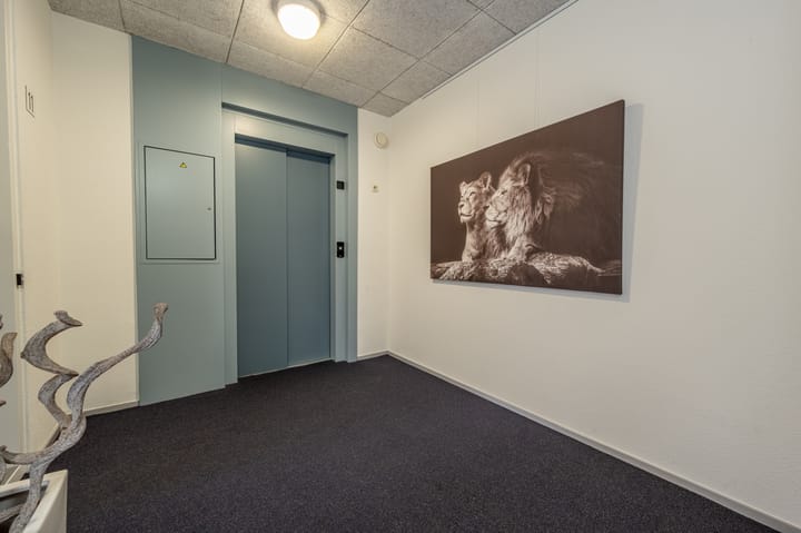 Foto 8 van Spuizicht 11