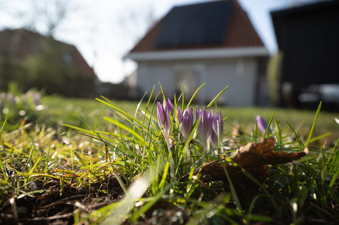 Foto 11 van De Witte Raaflaan 142