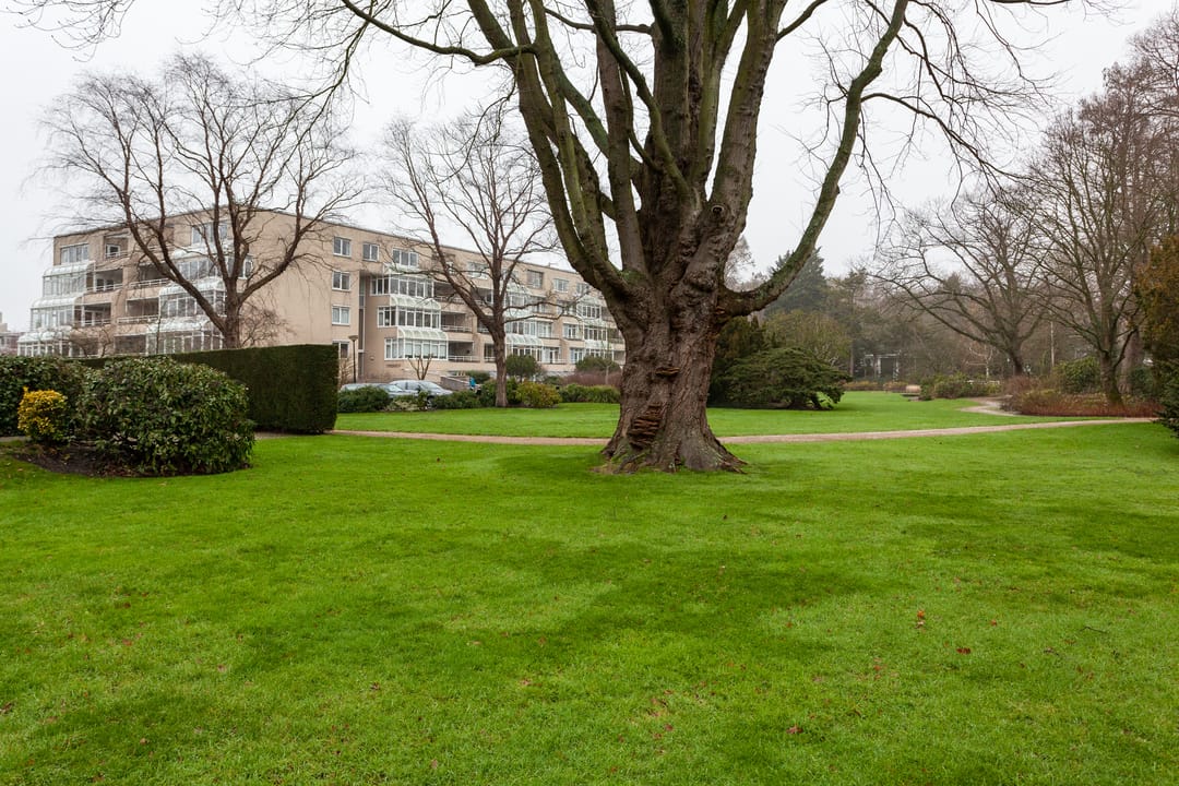 Foto 37 van Laan van Ypenhof 116