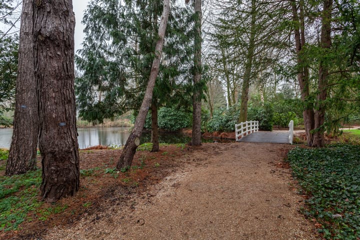 Foto 40 van Laan van Ypenhof 116