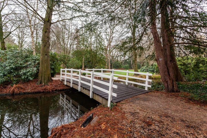 Foto 41 van Laan van Ypenhof 116