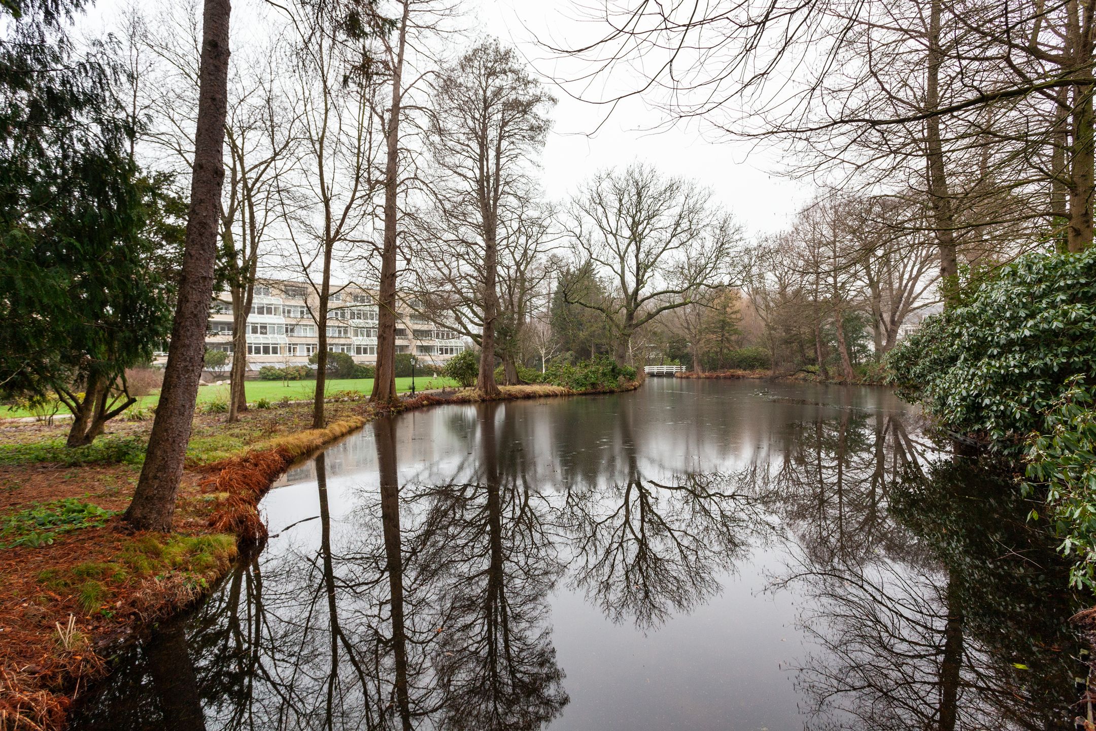 Foto 42 van Laan van Ypenhof 116