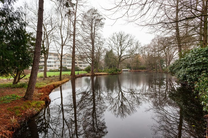 Foto 42 van Laan van Ypenhof 116