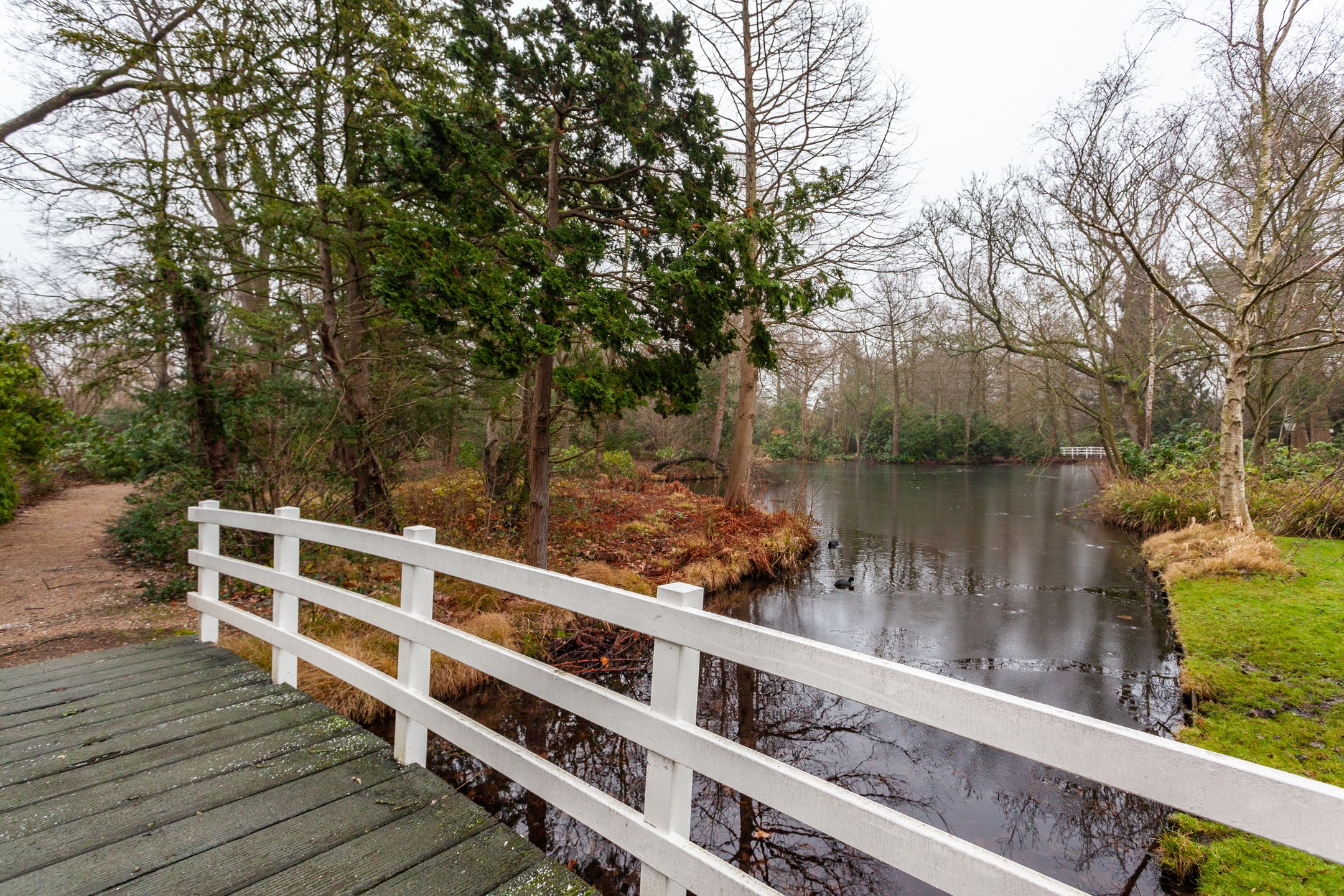 Foto 45 van Laan van Ypenhof 116