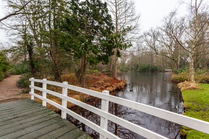 Foto 45 van Laan van Ypenhof 116