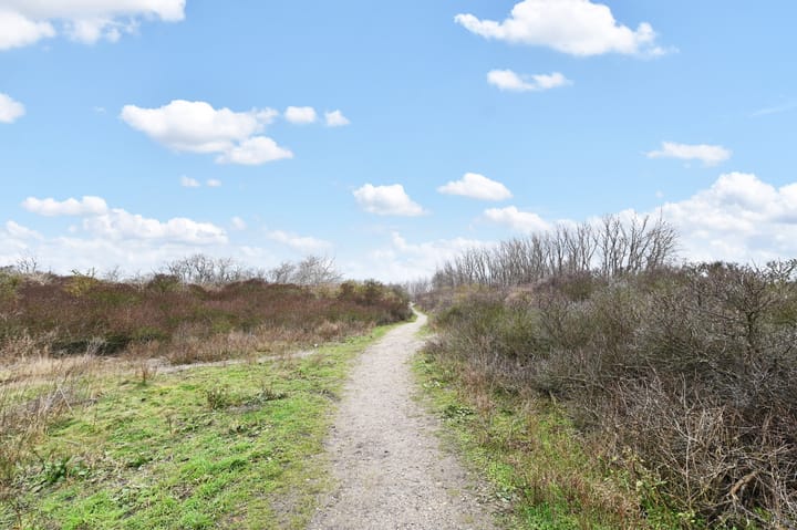 Foto 37 van Prins Willemweg 2