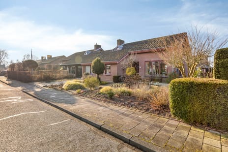 undefined main image