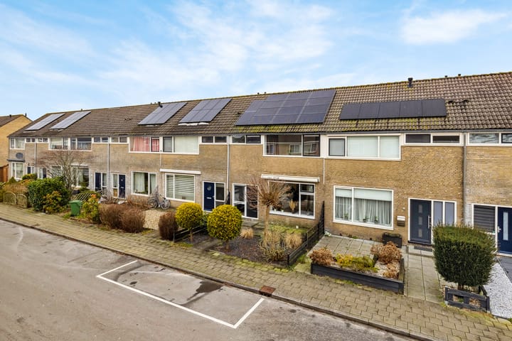 Foto 4 van Sterrekroos 24