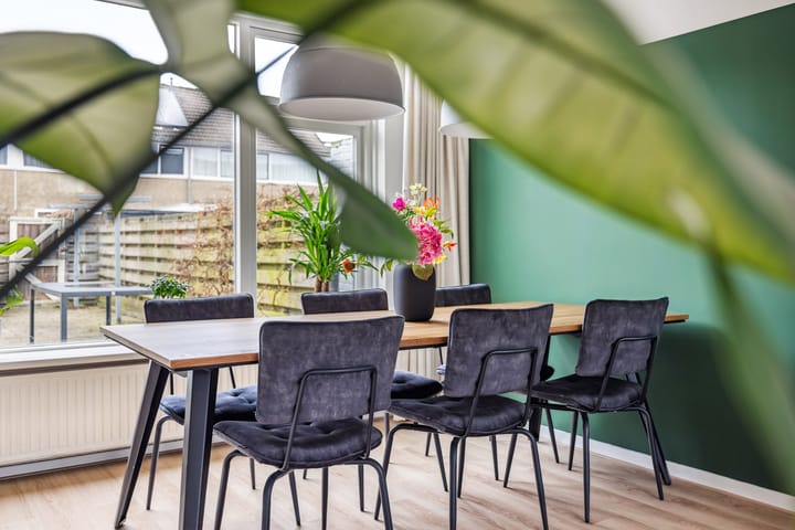 Foto 12 van Sterrekroos 24